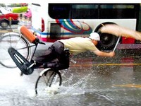 Wipeout