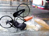 Wipeout