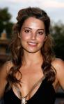 Erica Durance at the CW TCA Party