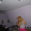 Hayden Panettiere personal webshots candids