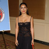 Salma Hayek exposed her lace bra in a see through dress