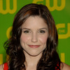 Sophia Bush exposed her plunging cleavage