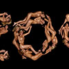 Models exposed their naked bodies in a photoshoot